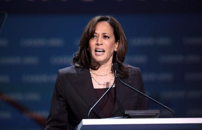 Kamala Harris stimmt einem Demonstranten zu, der „Völkermord“ in Gaza nennt