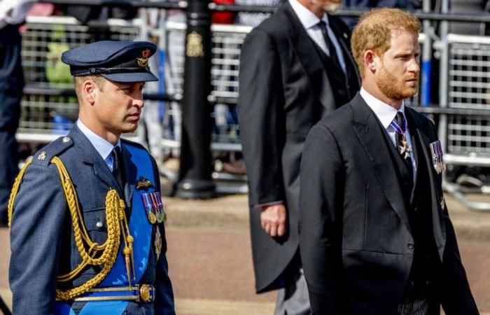 William und Harry: Dieser Starschauspieler geriet wider Willen ins Kreuzfeuer