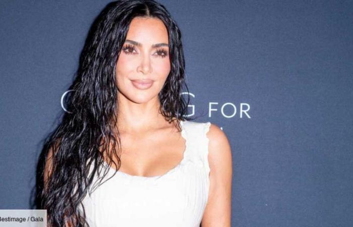 Kim Kardashian: der Tag, an dem sie dabei half, den Kunsthandel zu zerschlagen