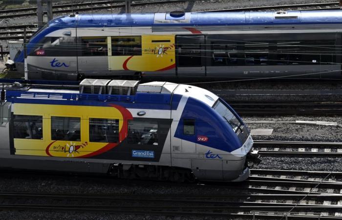 schrittweise Wiederaufnahme des SNCF-Verkehrs nach einem tragischen Vorfall in der Nähe von Nancy