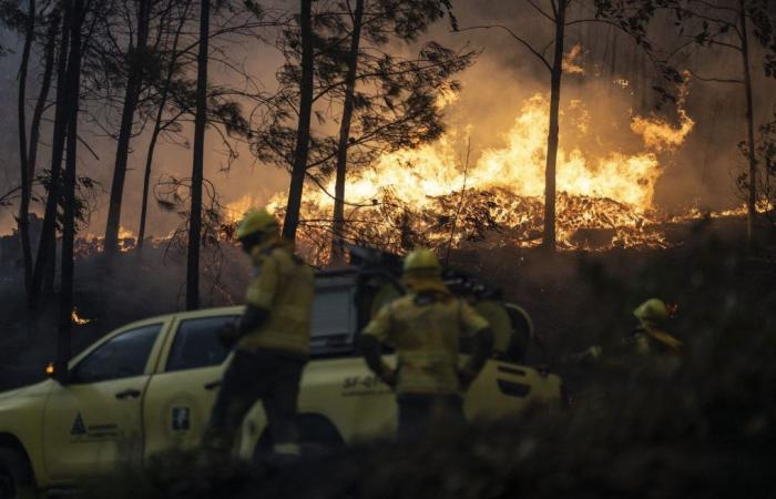 Umweltverschmutzung und Waldbrände: Laut Studie erhöht die globale Erwärmung die Zahl der Todesfälle