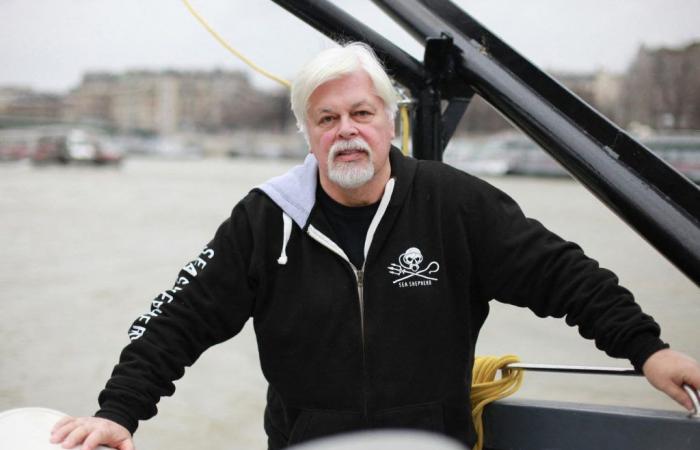 Paul Watson, Gründer von Sea Shepherd, beantragt politisches Asyl in Frankreich; Die Frage sei „heute nicht gelöst“, bekräftigt Paris