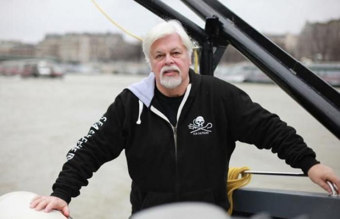 Paul Watson, Gründer von Sea Shepherd, beantragt politisches Asyl in Frankreich; Die Frage sei „heute nicht gelöst“, bekräftigt Paris