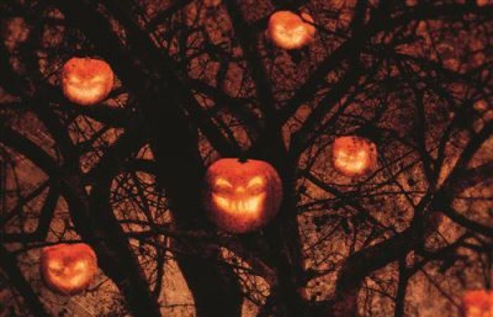 5 Bücher für Halloween, bei denen Sie gerne zittern – Paris Select