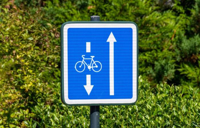 Fahrradschloss, M12-Schild… Die Fahrradinfrastrukturen, die Sie unbedingt kennen müssen