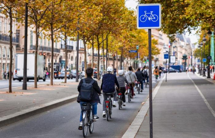 Fahrradschloss, M12-Schild… Die Fahrradinfrastrukturen, die Sie unbedingt kennen müssen