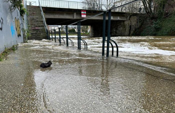 Das Departement Ille-et-Vilaine wurde von Météo France unter Wachsamkeit gestellt