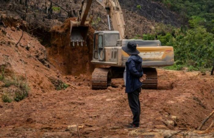 Goldminen: Chinesische Unternehmen im Fadenkreuz der Demokratischen Republik Kongo: Nachrichten