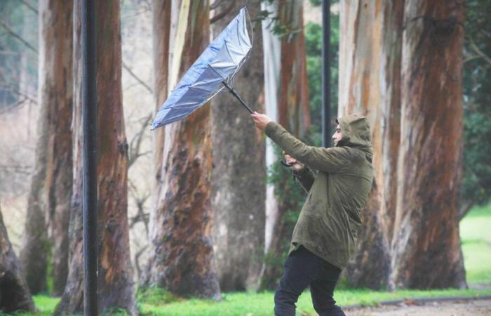 Regen und Wind von bis zu 80 km/h am Wochenende: Die Gebiete, in denen es während dieser Kommunalwahlen regnen würde