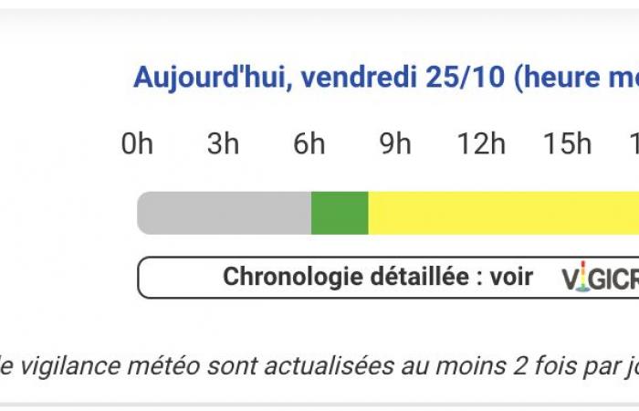 Für Hautes-Pyrénées, Pyrénées-Atlantiques, Haute-Garonne und Tarn-et-Garonne gilt an diesem Freitag, dem 25. Oktober, Alarmstufe Gelb