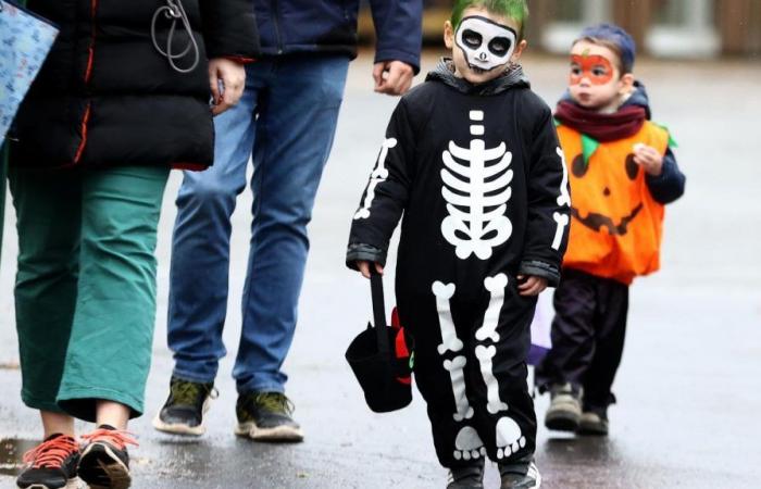 „Monströs“: Seien Sie vorsichtig bei „besonderen Halloween“-Süßigkeiten, aber nicht wegen ihres Geschmacks oder ihrer Farben