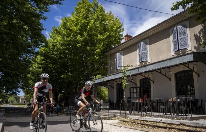 (Videos) Radfahren: die neue touristische Attraktion von Vaucluse