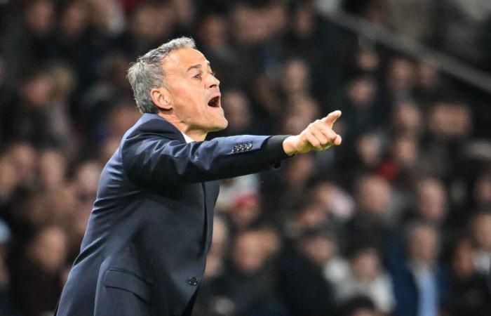 PSG – Luis Enrique: „Ein Fehler“, den Riolo live anprangerte