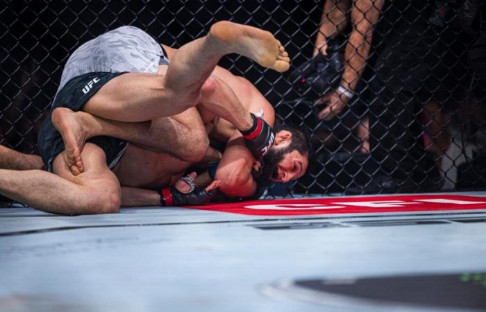 Khamzat Chimaev besiegte. Robert Whittaker bei UFC 308: Beste Fotos aus Abu Dhabi