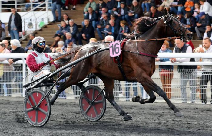 Grand Prix des Nations in Mailand: Eine neue Krönung für Go On Boy?