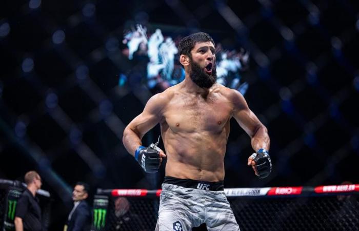 Khamzat Chimaev besiegte. Robert Whittaker bei UFC 308: Beste Fotos aus Abu Dhabi