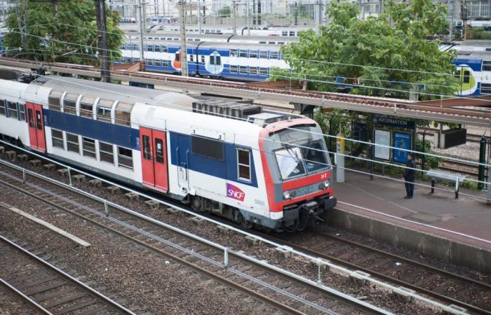 Drei SNCF-Agenten werden wegen Gewalt gegen ein junges Paar vor Gericht gestellt