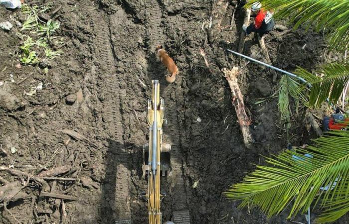 Überschwemmungen: Sturm Trami auf den Philippinen: Zahl der Todesopfer erreicht 100