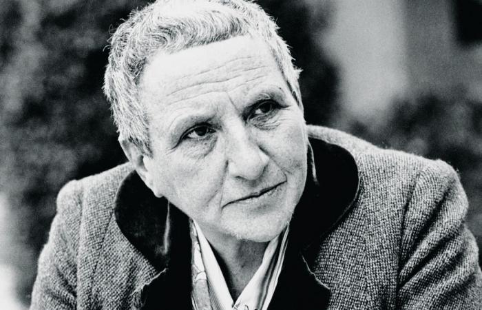 Gertrude Stein, „Genaue Ähnlichkeit“ (Cambourakis)