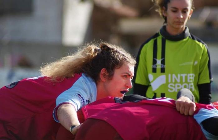 Lot Amateur-Rugby-Trophäen: Wählen Sie den besten Spieler der Abteilung unter