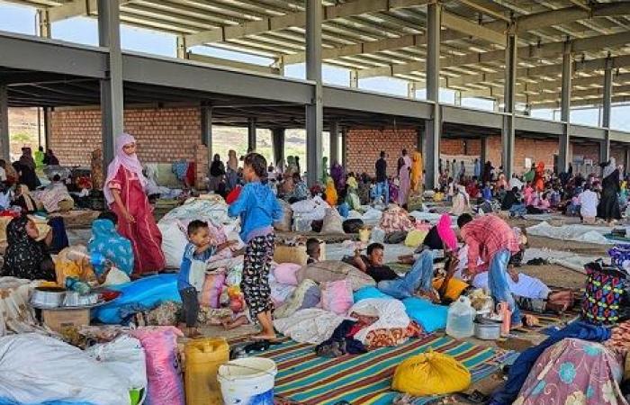 Sudan: Es ist dringend erforderlich, dass lokale Waffenstillstände geschlossen werden (…)