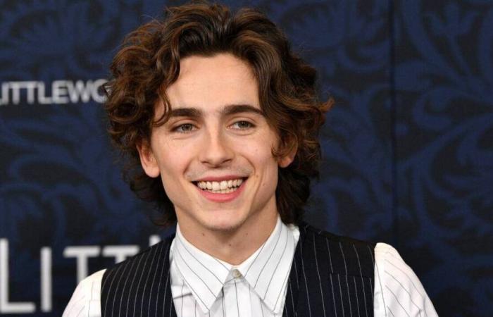 Timothée Chalamet lädt sich zu seinem eigenen Doppelgänger-Wettbewerb ein – ohne Erfolg