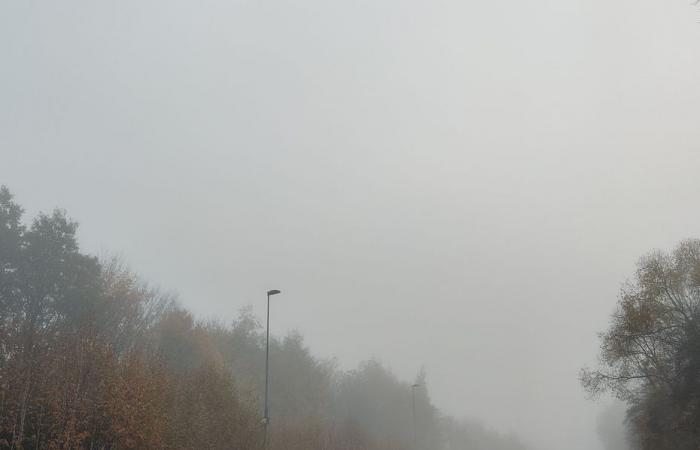 Wetterbericht. Wie ist das Wetter an diesem Montag, den 28. Oktober in Hauts-de-France?