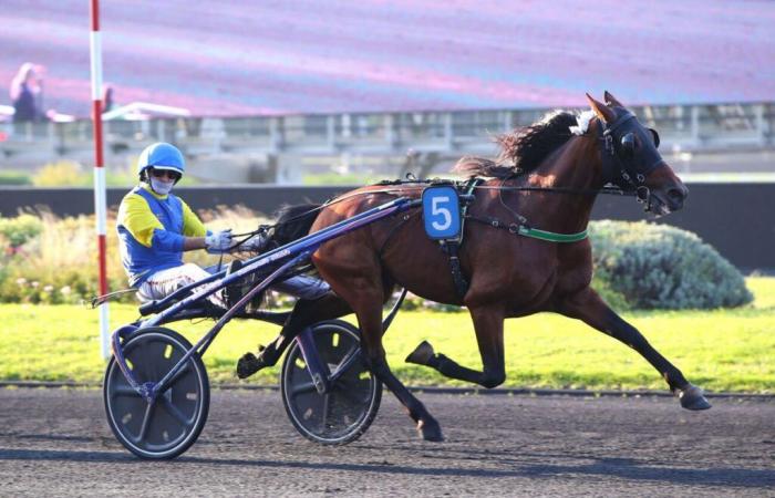 Chemar versucht den Double über 2.100 Meter