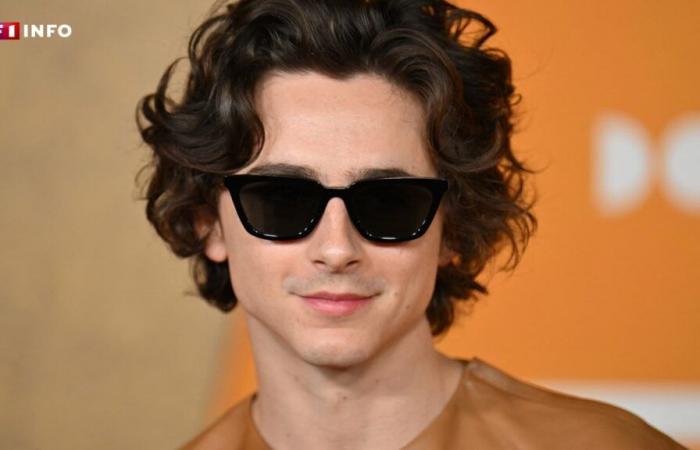 Timothée Chalamet lädt sich zu einem Wettbewerb seiner eigenen Doppelgänger in New York ein … und sorgt für Aufruhr