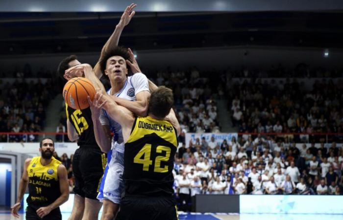 Basketball: Der SQBB kam in der Champions League gegen Teneriffa nicht über die Distanz