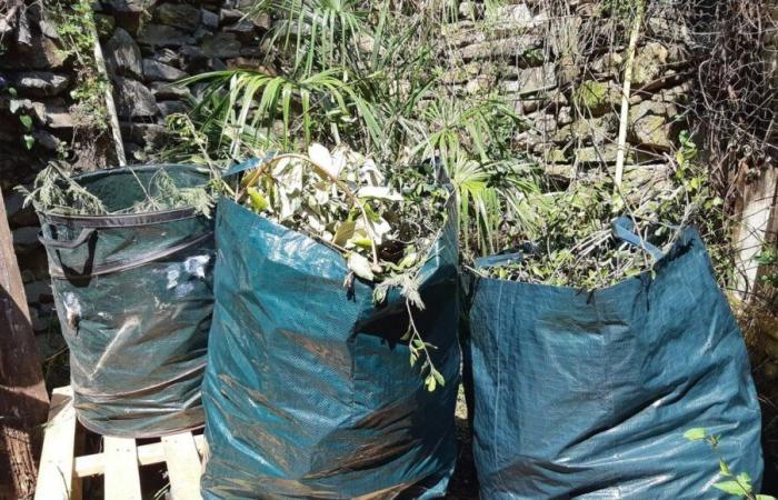 Gartenabfälle werden in Recyclingzentren in der Dordogne kostenlos zerkleinert