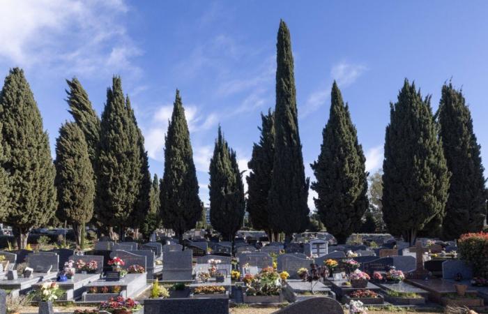 Finden Sie heraus, welcher Tag des Jahres in Frankreich der tödlichste ist