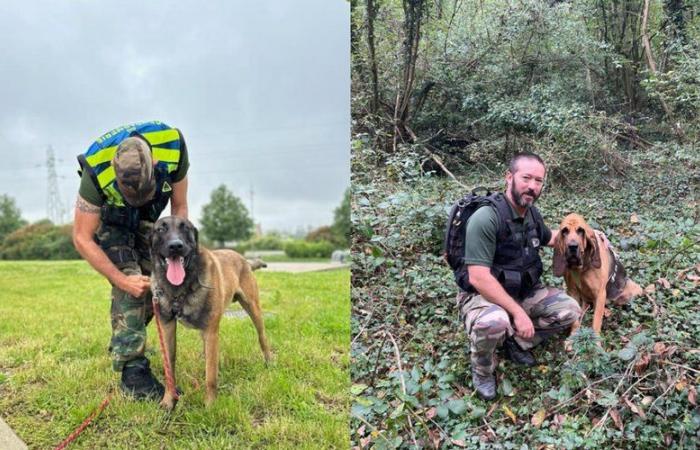 „Komplizierte“ Suche: Wie konnten zwei Polizeihunde dabei helfen, zwei vermisste Personen am selben Tag zu finden?