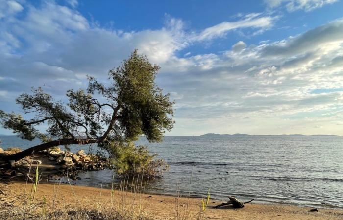 TOULON: Wetter – Ein sehr schöner Freitagtag in der Provence