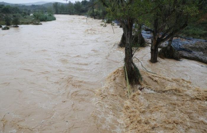 Ein Campingplatz in Torreblanca wird geräumt und der Fluss Cervol tritt in Vinaròs über die Ufer