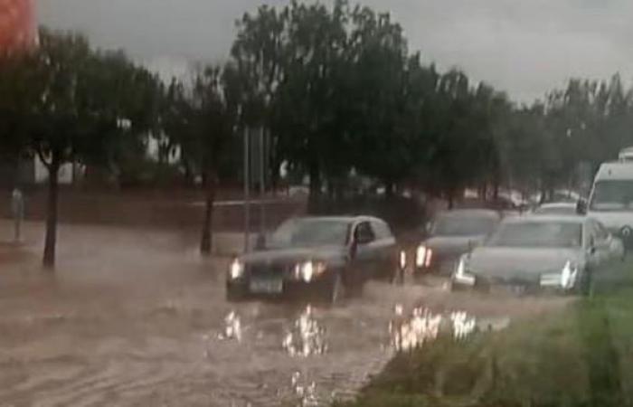 Die UJI setzt den Lehrbetrieb aus und der Stadtrat und die Sicherheitskräfte treffen sich dringend, um die Aktivierung von Protokollen angesichts des Sturms in Castellón zu prüfen Gesellschaft