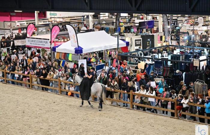 Maine-et-Loire. Die mit Spannung erwartete 8. Ausgabe der Angers Horse Show findet vom 9. bis 11. November statt