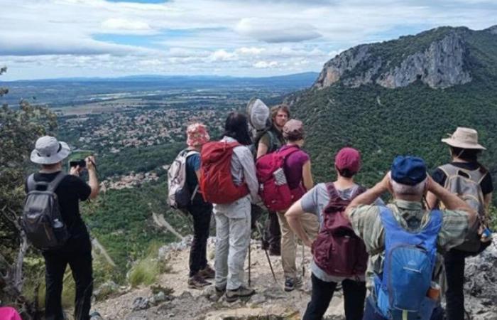 Kostenlose Spaziergänge und Wanderungen im Luberon für den ganzen Monat November