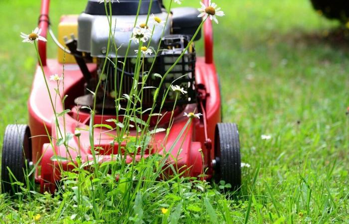 Die Region genehmigt die kostenlose und unbegrenzte Abgabe von Grünabfällen in 7 Recyclingzentren