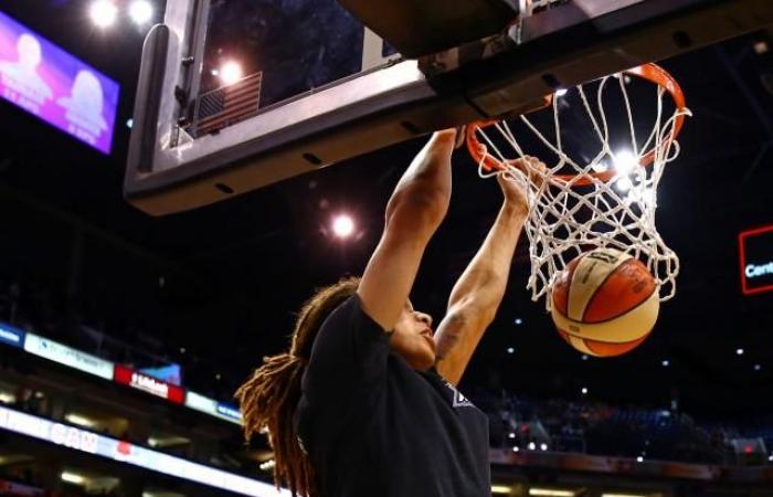 vor Malonga in Frankreich, den anderen großen Pionieren des Dunk (Basketball)