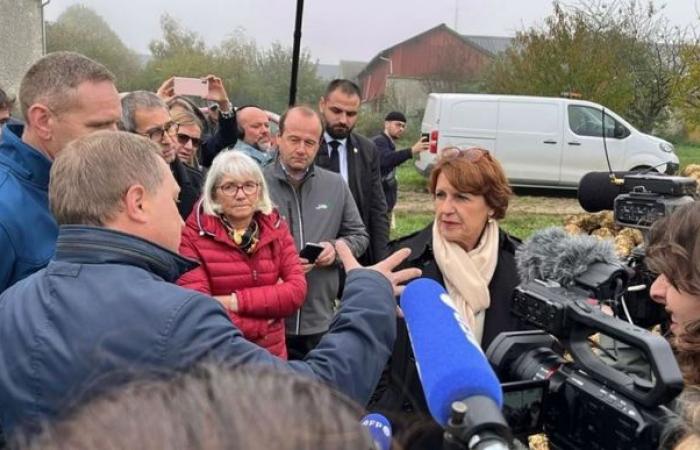 Einrichtung einer einheitlichen Kontrolle landwirtschaftlicher Betriebe