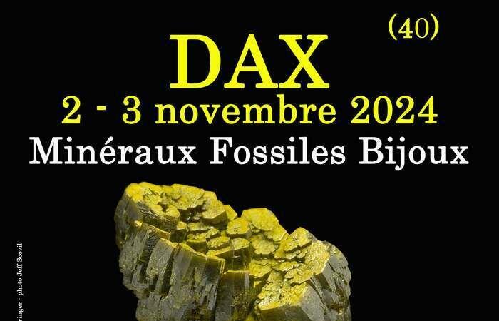 1. SCHMUCKAUSSTELLUNG FÜR FOSSILE MINERALIEN in DAX (Landes) Amélie Charrière Saal Dax Samstag, 2. November 2024