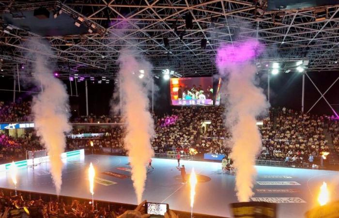 Champions League: Handballspieler des HBC Nantes unentschieden gegen Barça zu Hause (31-31)