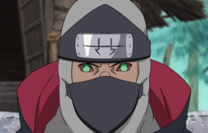 Wählen Sie einen Konoha-Ninja. Wir sagen Ihnen, mit welchem ​​Akatsuki-Mitglied Sie zusammenarbeiten