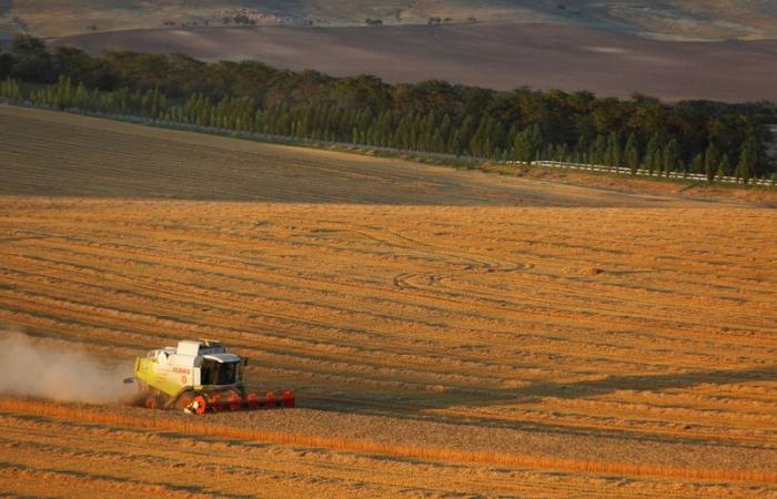 Unausgesprochene Maßnahmen zur Einschränkung der russischen Getreideexporte stiften Marktverwirrung