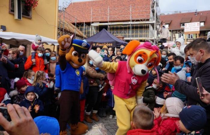 Hobbys. Unsere Auswahl an Ausflügen an diesem Wochenende in der Region Molsheim