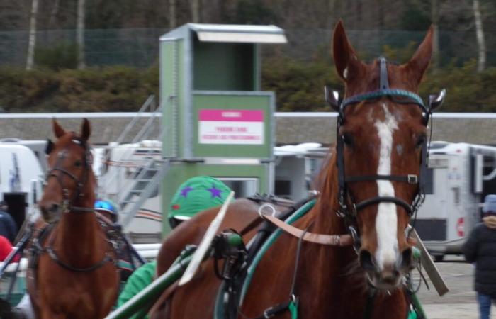 Eine Ausstellung über Pferderennen in Côtes-d’Armor auf der Bay Racecourse