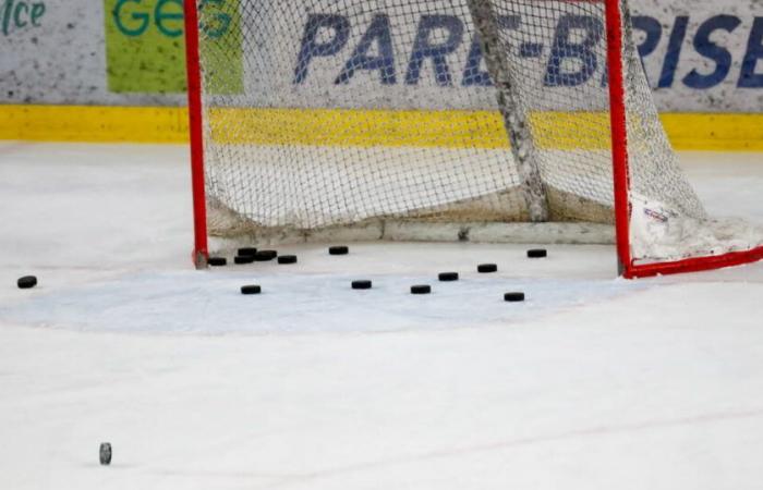 Eishockey – Magnus League. Angriff auf einen Offiziellen: Schwere Sperre für zwei Angers-Spieler, die Schiedsrichtervereinigung „enttäuscht“ über die Entscheidung