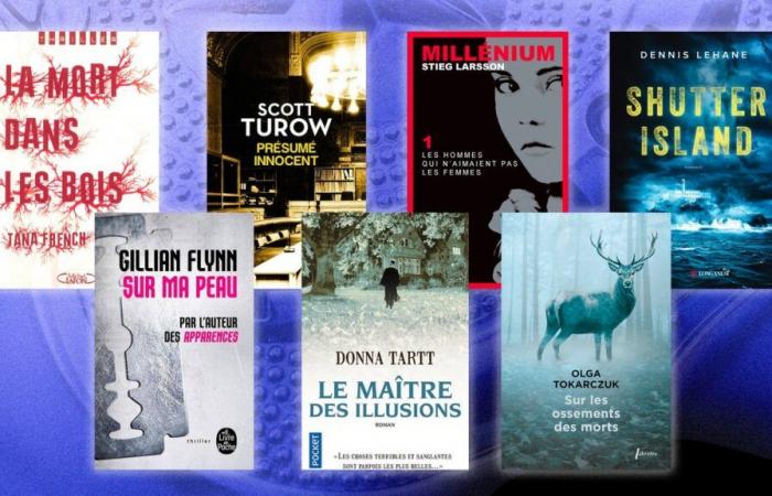 Bücher: Die besten Thriller, die Sie mit ihren Wendungen umhauen werden