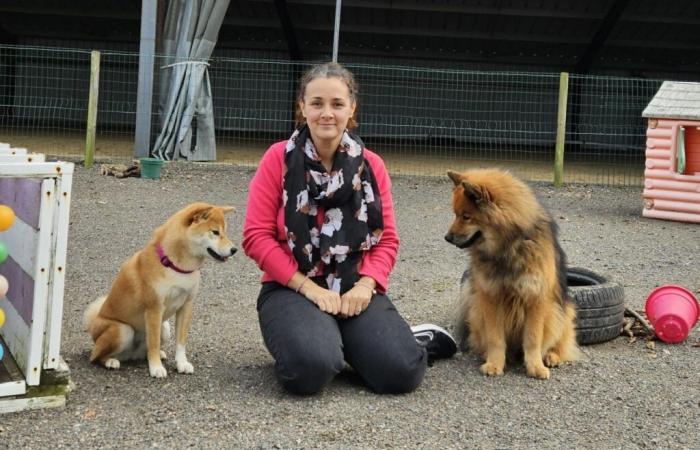 Ein Zentrum bietet Shiatsu-Sitzungen an … für Hunde!